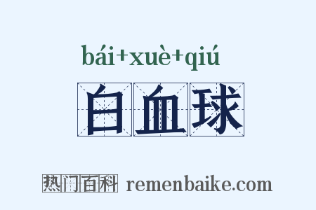 白血球是什么意思的图片
